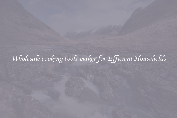 Wholesale cooking tools maker for Efficient Households