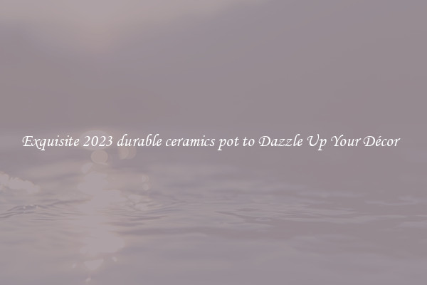 Exquisite 2023 durable ceramics pot to Dazzle Up Your Décor  