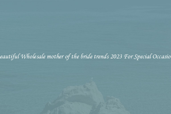 Beautiful Wholesale mother of the bride trends 2023 For Special Occasions