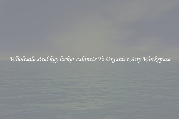Wholesale steel key locker cabinets To Organize Any Workspace