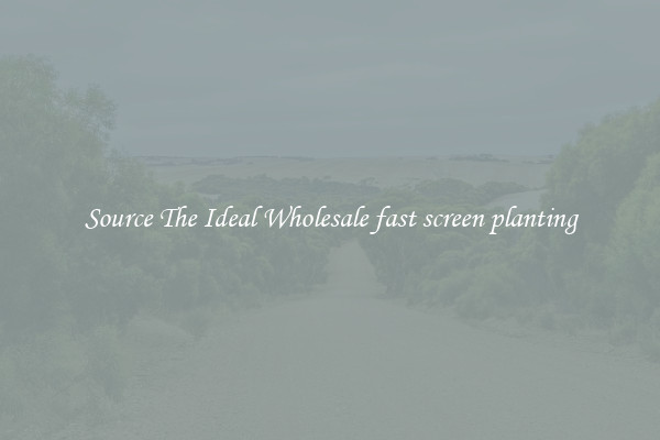 Source The Ideal Wholesale fast screen planting