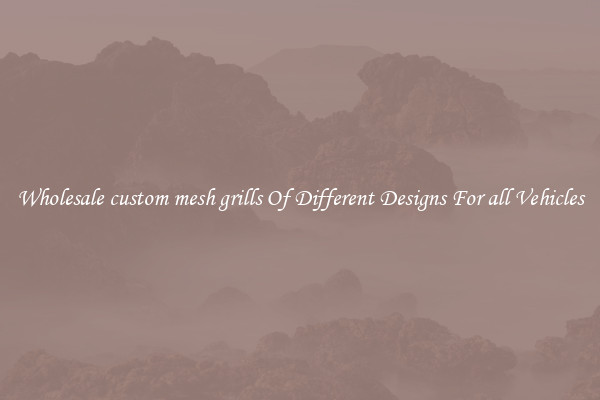 Wholesale custom mesh grills Of Different Designs For all Vehicles