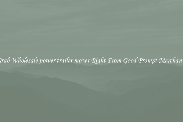 Grab Wholesale power trailer mover Right From Good Prompt Merchants