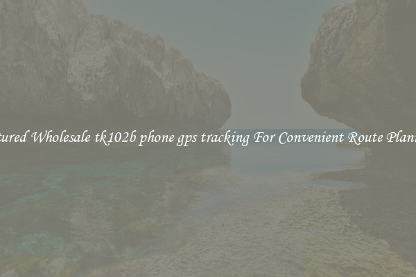 Featured Wholesale tk102b phone gps tracking For Convenient Route Planning 