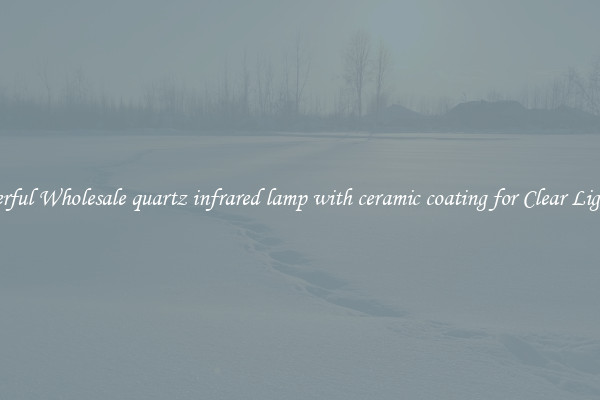 Powerful Wholesale quartz infrared lamp with ceramic coating for Clear Lighting