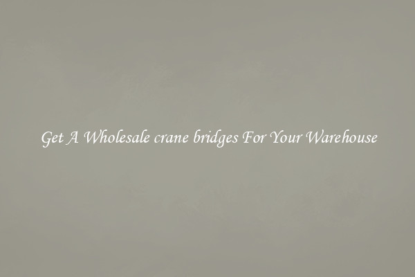 Get A Wholesale crane bridges For Your Warehouse