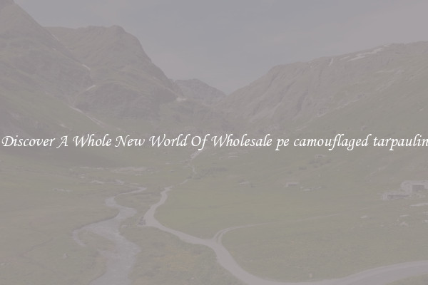 Discover A Whole New World Of Wholesale pe camouflaged tarpaulin