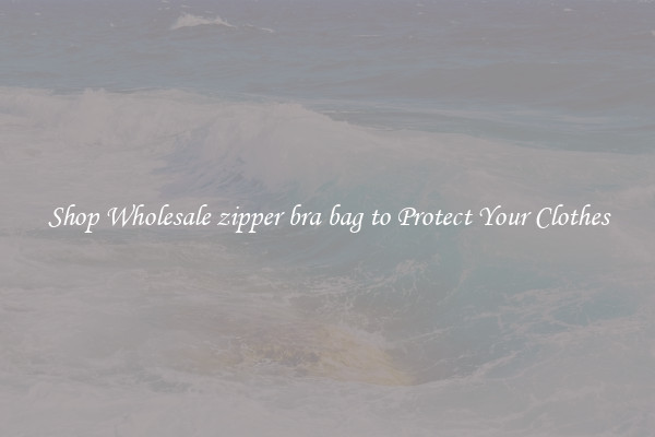 Shop Wholesale zipper bra bag to Protect Your Clothes