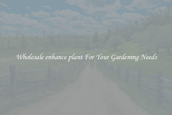Wholesale enhance plant For Your Gardening Needs