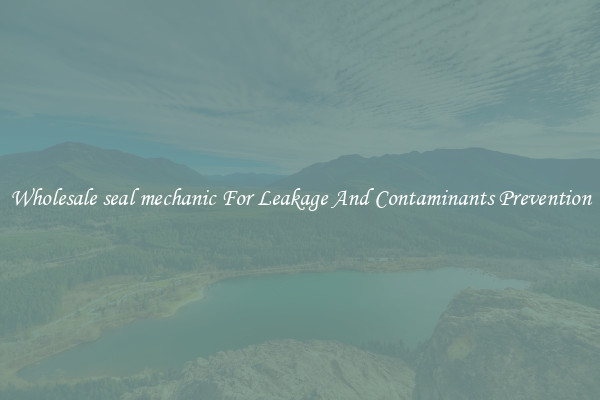 Wholesale seal mechanic For Leakage And Contaminants Prevention