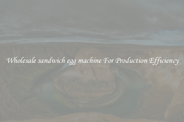Wholesale sandwich egg machine For Production Efficiency