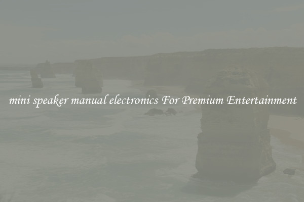 mini speaker manual electronics For Premium Entertainment