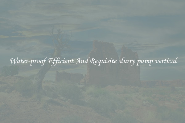 Water-proof Efficient And Requisite slurry pump vertical