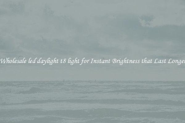 Wholesale led daylight t8 light for Instant Brightness that Last Longer