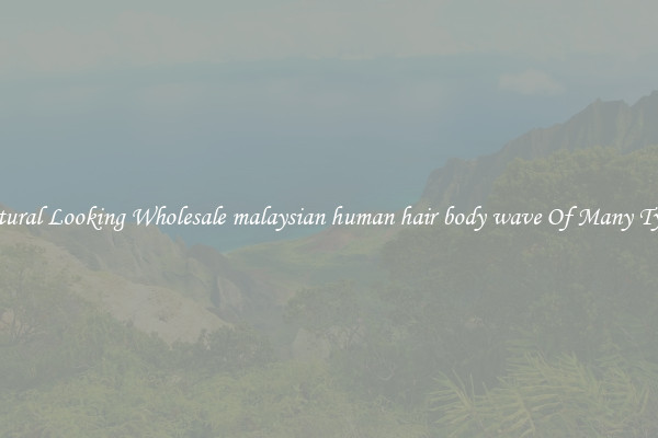 Natural Looking Wholesale malaysian human hair body wave Of Many Types