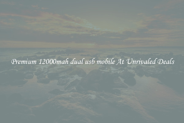 Premium 12000mah dual usb mobile At Unrivaled Deals